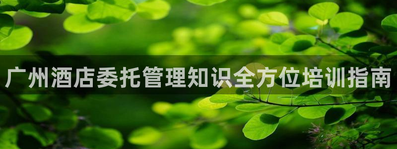 k8凯发