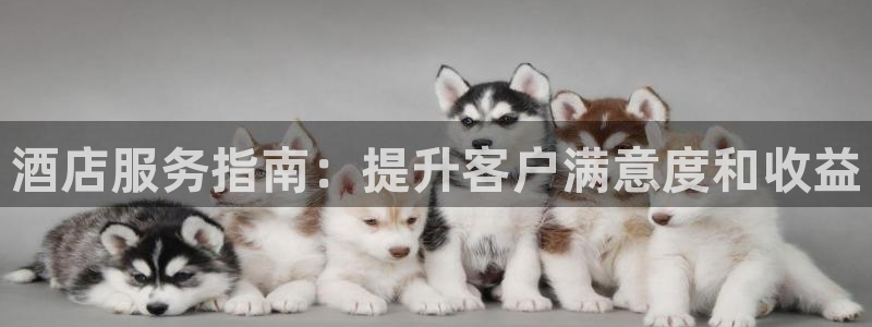 凯发k8一触即发