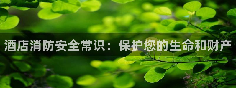 凯发首页地址