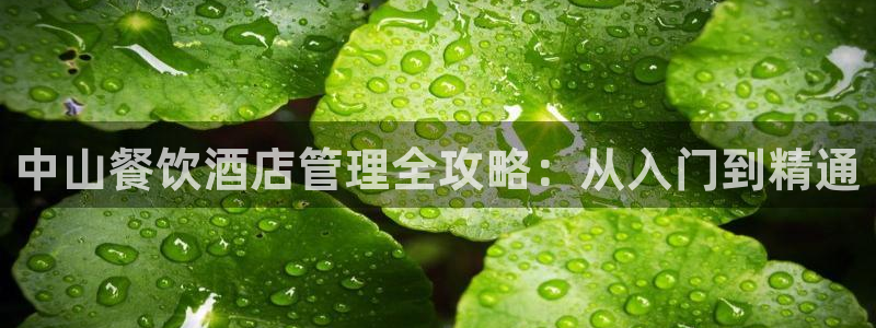 凯发最新网站