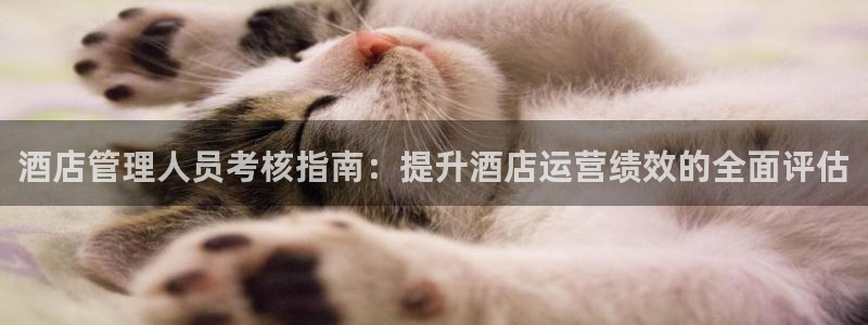 凯发k8全球最大的娱乐平台