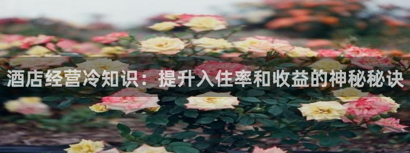 凯发k8官网下载客户端中心