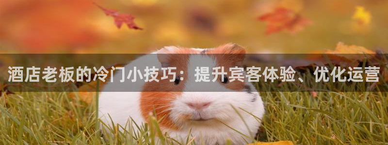 凯发k8娱乐官网手机端