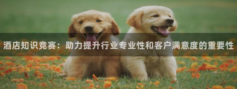 凯发官方网站